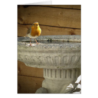 Robin Cards