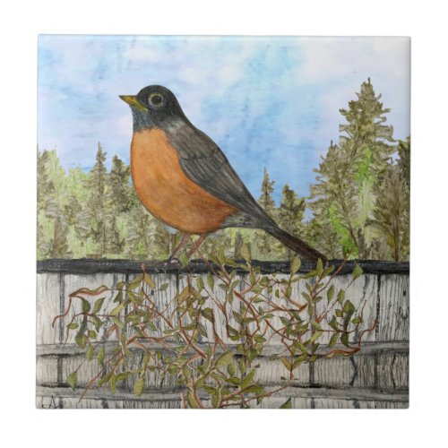 Robin Ceramic Kitchen Tile