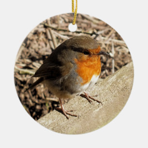 ROBIN CERAMIC ORNAMENT