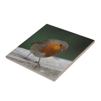 Robin Ceramic Tile | Zazzle