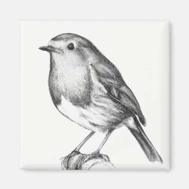 Robin christmas  magnet (Front)