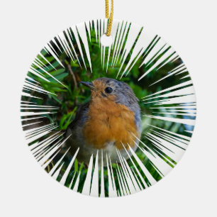 Robin Christmas Tree ornament