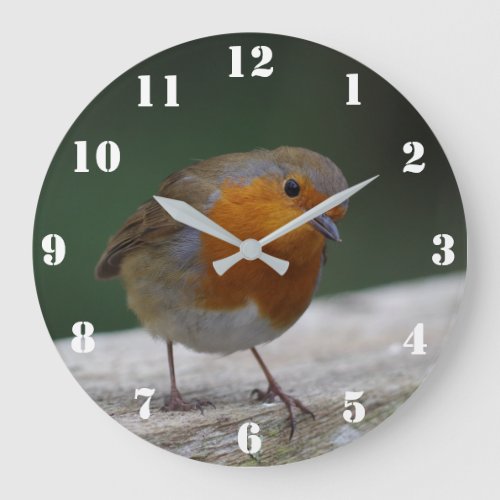 Robin Clock