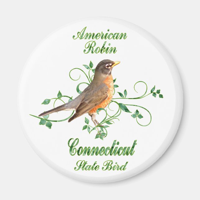 Robin Connecticut State Bird Magnet (Front)