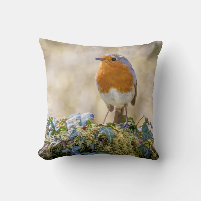 Robin cushion featuring two beautiful photographs (Front)