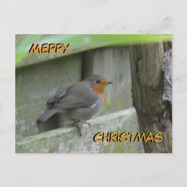 Robin Cust. Merry Christmas Postcard (Front)