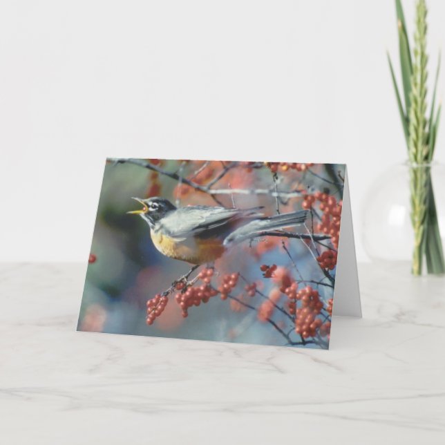 Robin eating berry card (Front)