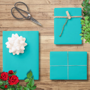 Robin Egg Blue Solid Color Classic Elegant Wrapping Paper Sheets