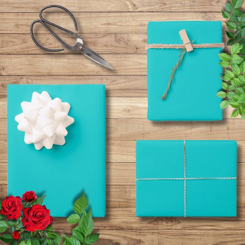 Robin Egg Blue Solid Color  Classic  Elegant Wrapping Paper Sheets