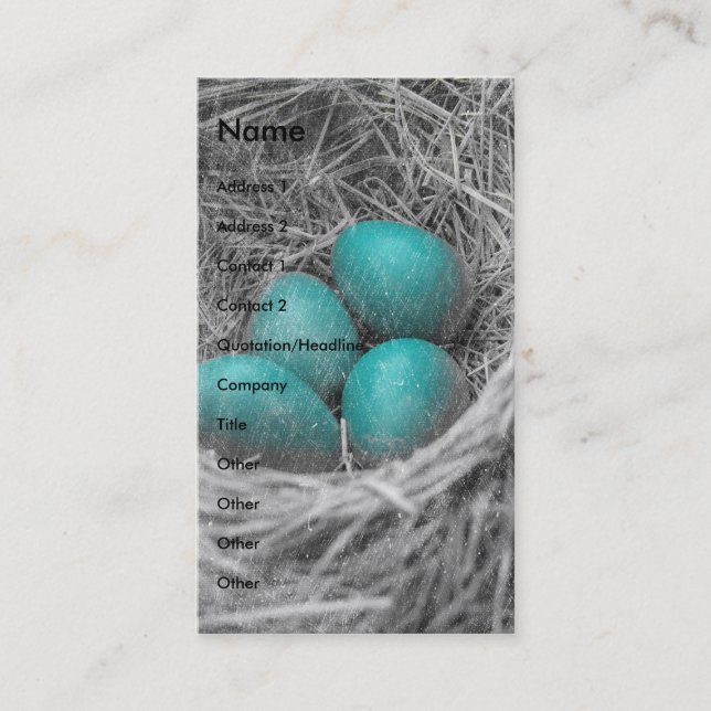 Robin Eggs Grunge Business Card (Front)
