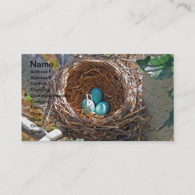 Robin Eggs in a Backyard Tree Nest Business Card (Front)