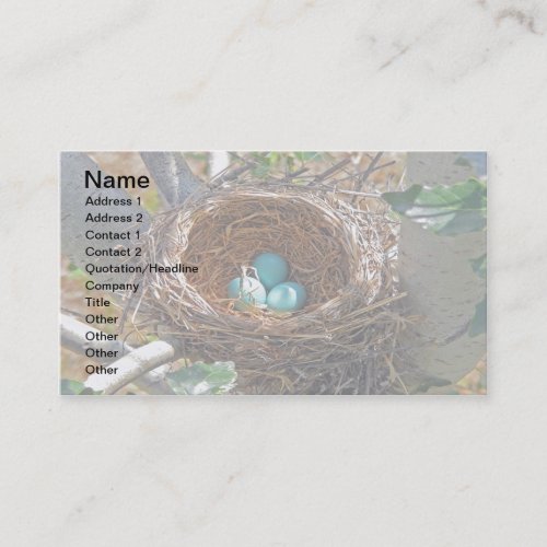 Robin Eggs in a Backyard Tree Nest Business Card Template