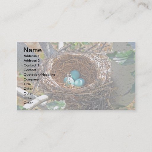 Customizable Robin Eggs in a Backyard Tree Nest Business Card Template