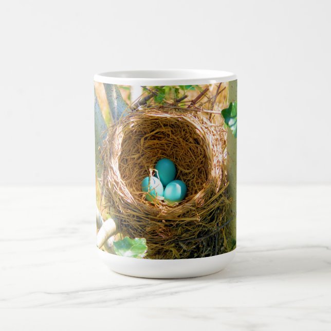 Robin eggs unhatched in a backyard tree nest coffee mug (Center)