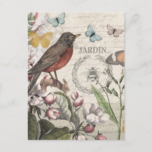 Robin Elegant Bird Butterfly French Art Postcard