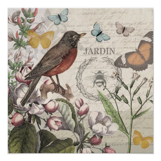 Robin Elegant Bird Butterfly French Art Poster (Front)
