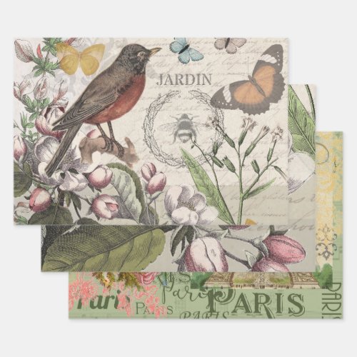 Robin Elegant Bird Butterfly French Art Wrapping Paper Sheets