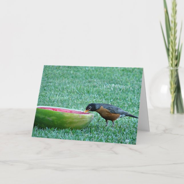 Robin Enjoys Watermelon, 4th of July Card (Front)
