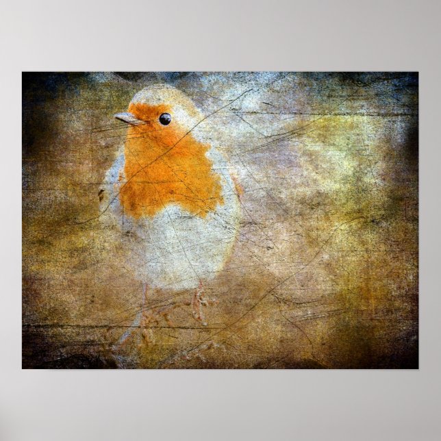 Robin Grunge Poster (Front)