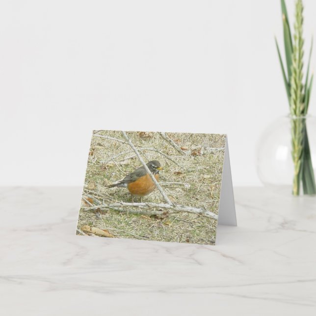 Robin Harbinger of Spring Card (Front)