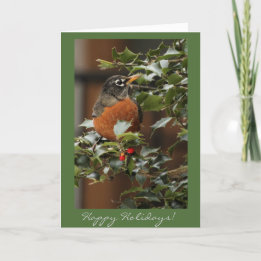Robin Holiday Card