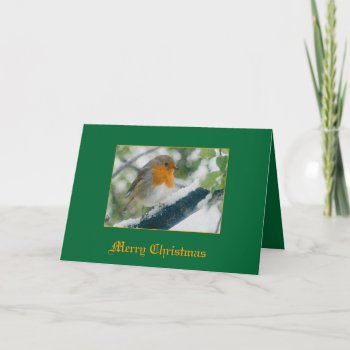 Robin Holiday Card by Welshpixels at Zazzle