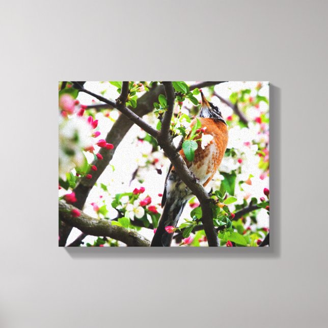 Robin in Blooming Crabapple Tree Print Canvas (Front)