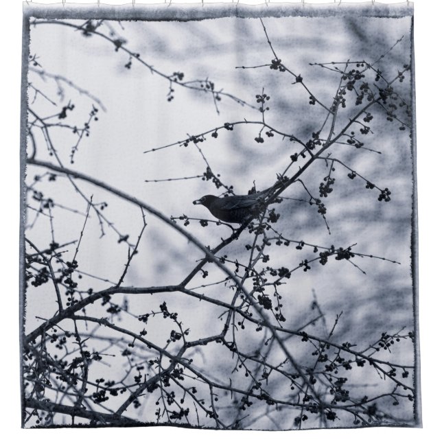 Robin in Branches Eating Berry Blue Silhouette Shower Curtain (Front)