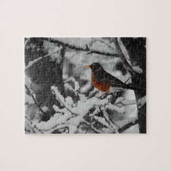 Robin In Color On Black And White Background Jigsaw Puzzle by TheWorldOutside at Zazzle