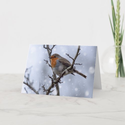 Robin in snow Christmas card