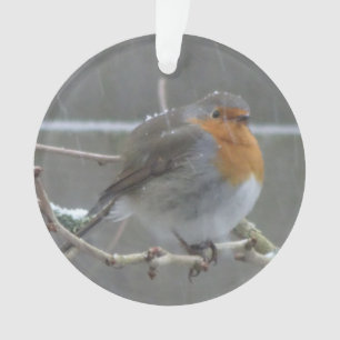 Robin in Snow Ornament