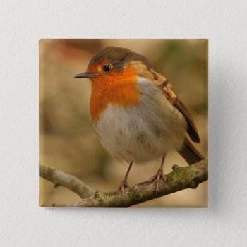 Robin In Sunshine Pinback Button by Welshpixels at Zazzle