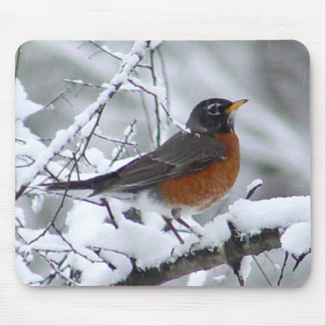 Robin in the Snow Bird Mousepad (Front)