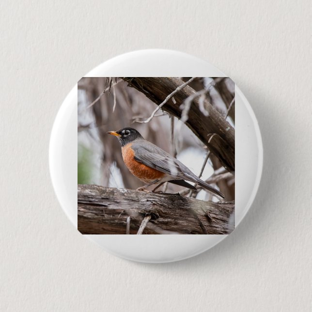Robin in the trees button (Front)