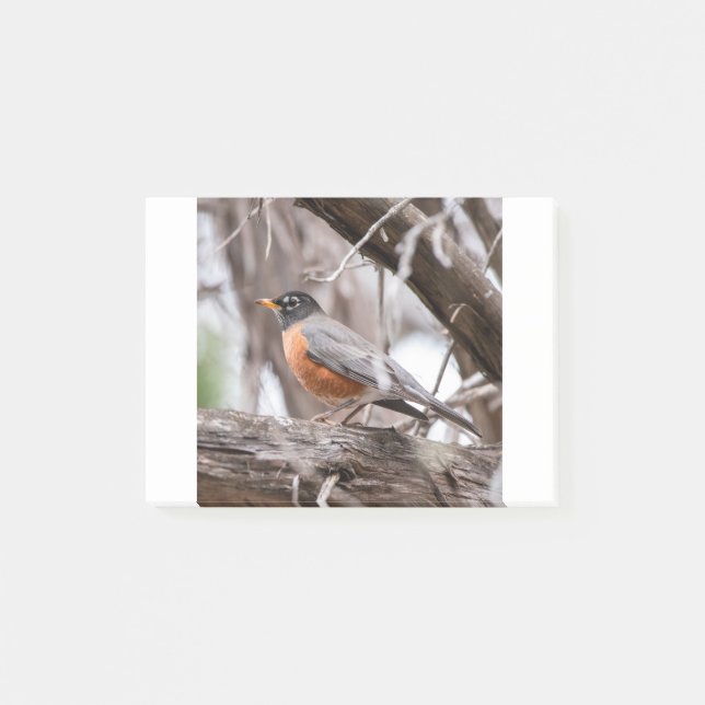 Robin in the trees post-it notes (Front)