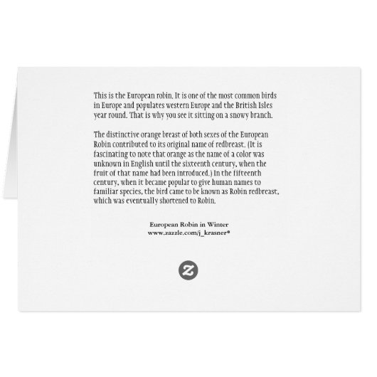 Robin in Winter (Back Horizontal)