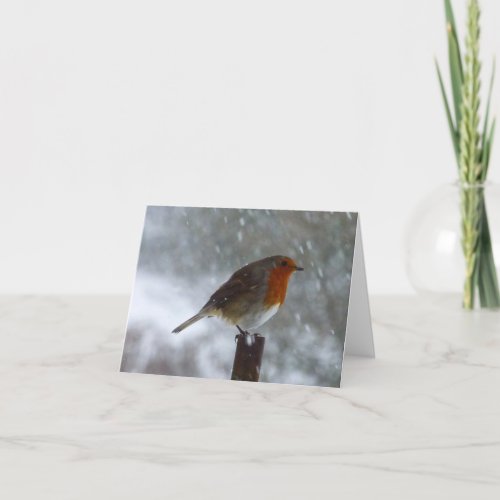 Robin in Winter Folded Holiday Card