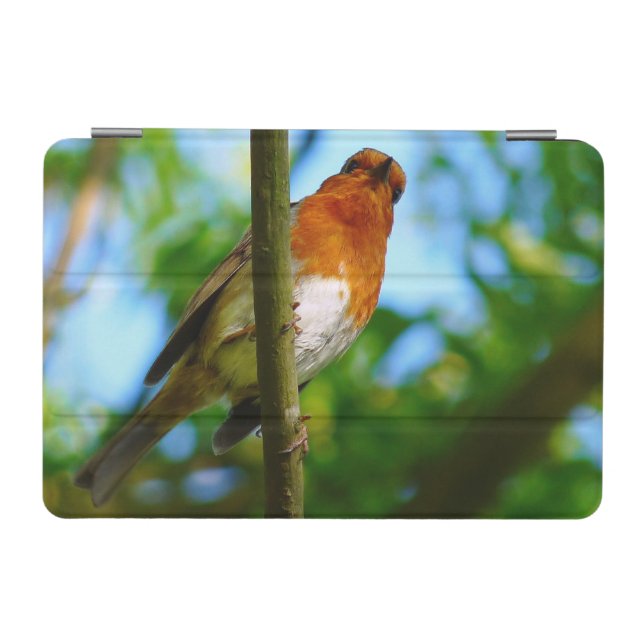 ROBIN  iPad MINI COVER (Horizontal)