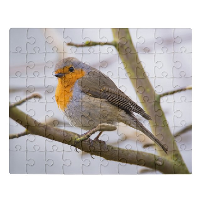 ROBIN JIGSAW PUZZLE (Puzzle Horizontal)