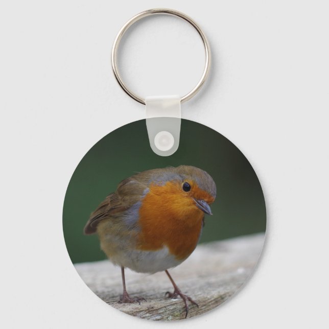 Robin Key Ring (Front)
