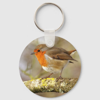 Robin Keychain