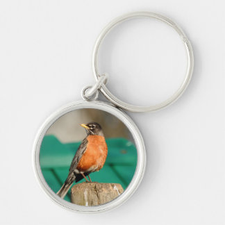 Robin Keychain