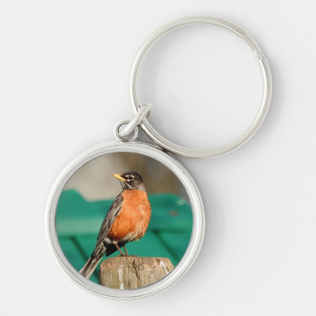 Robin Keychain (Front)