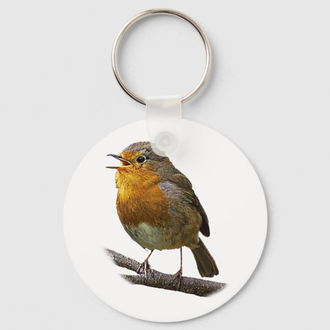 Robin Keychain (Front)