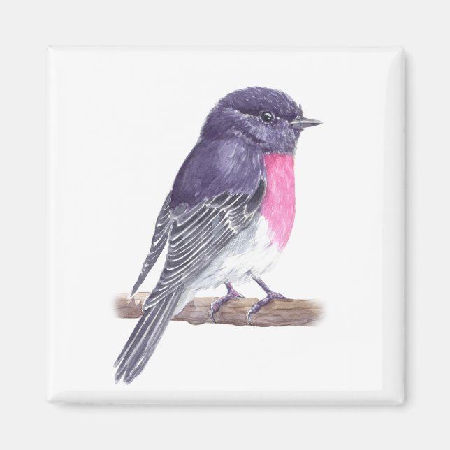 Robin Magnet (Front)