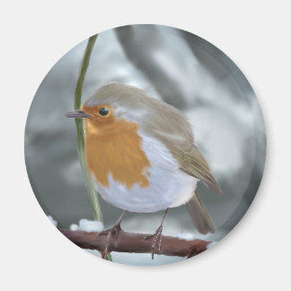 Robin magnet