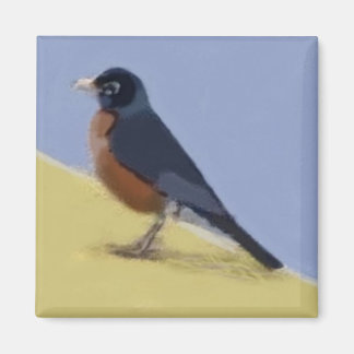 Robin Magnet