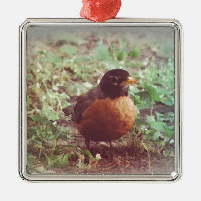 Robin Metal Ornament (Front)