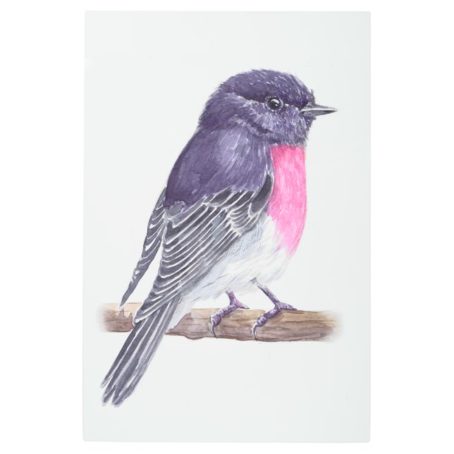 Robin Metal Print (Front)