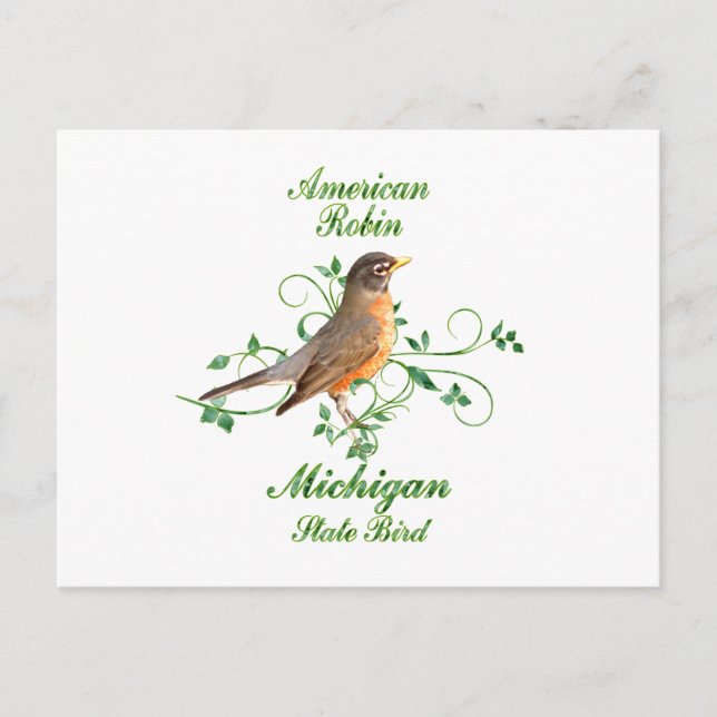 Robin Michigan State Bird Postcard (Front)